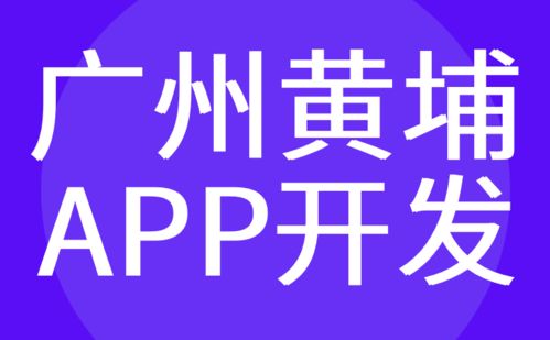 广州黄埔区app开发 手机系统软件制作定制 红匣子科技